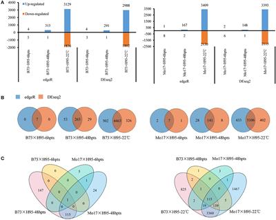 Multi-Omics Analyses Reveal the Regulatory Network and the Function of ZmUGTs in Maize Defense Response